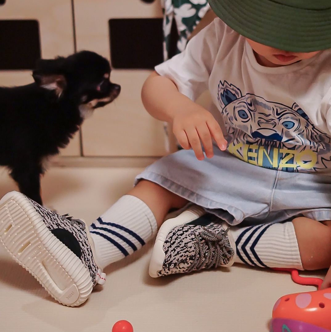 (Infant) Adidas Yeezy Boost 350 Turtledove 착용 스타일 - 3