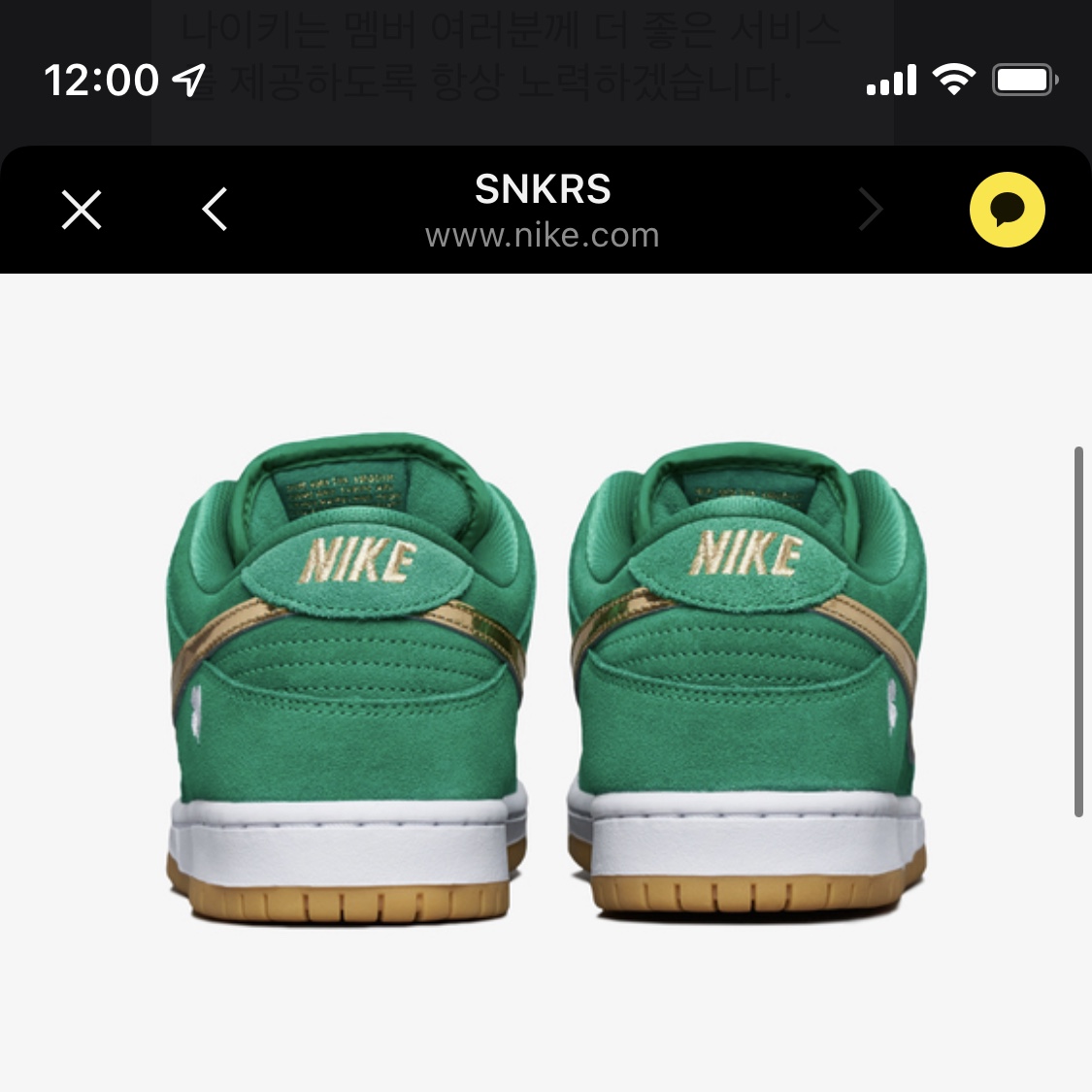 Nike SB Dunk Low Pro Shamrock 착용 스타일