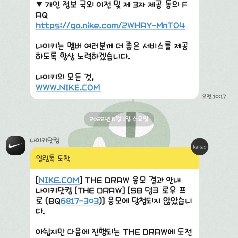Nike SB Dunk Low Pro Shamrock 착용 스타일