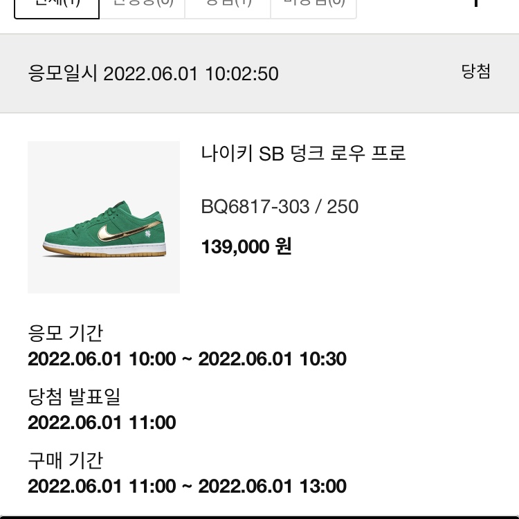 Nike SB Dunk Low Pro Shamrock 착용 스타일