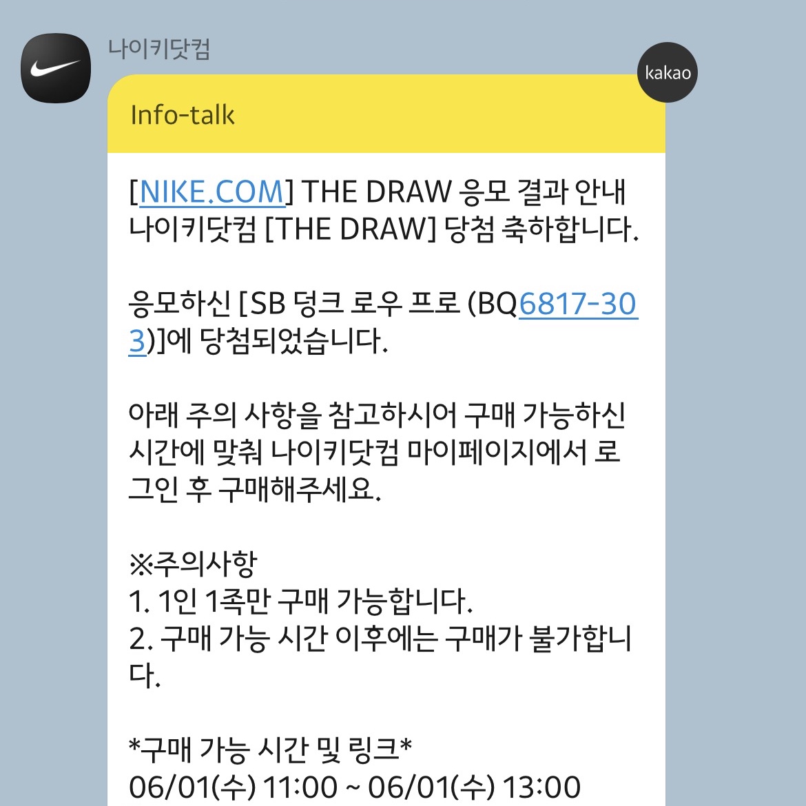 Nike SB Dunk Low Pro Shamrock 착용 스타일