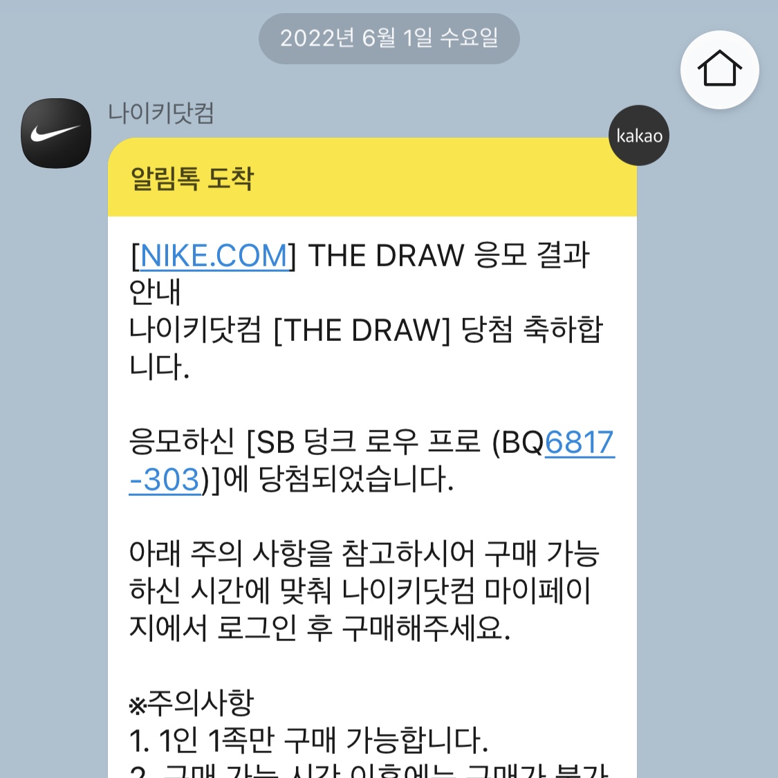 Nike SB Dunk Low Pro Shamrock 착용 스타일