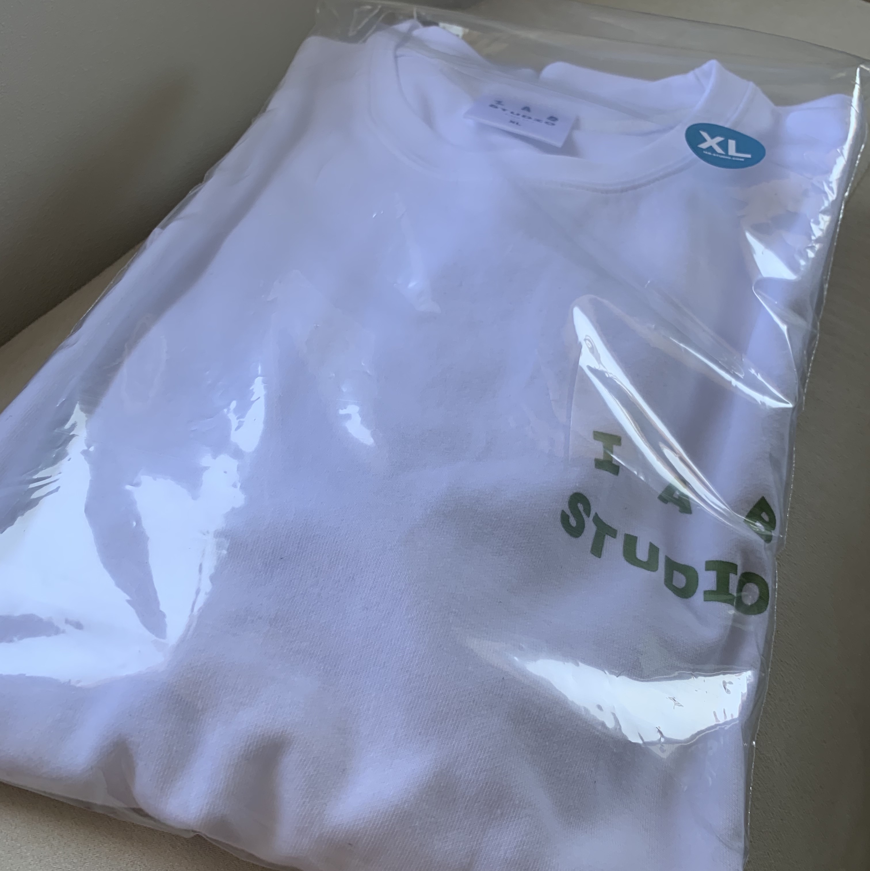 IAB Studio T-Shirt White Light Green 착용 스타일