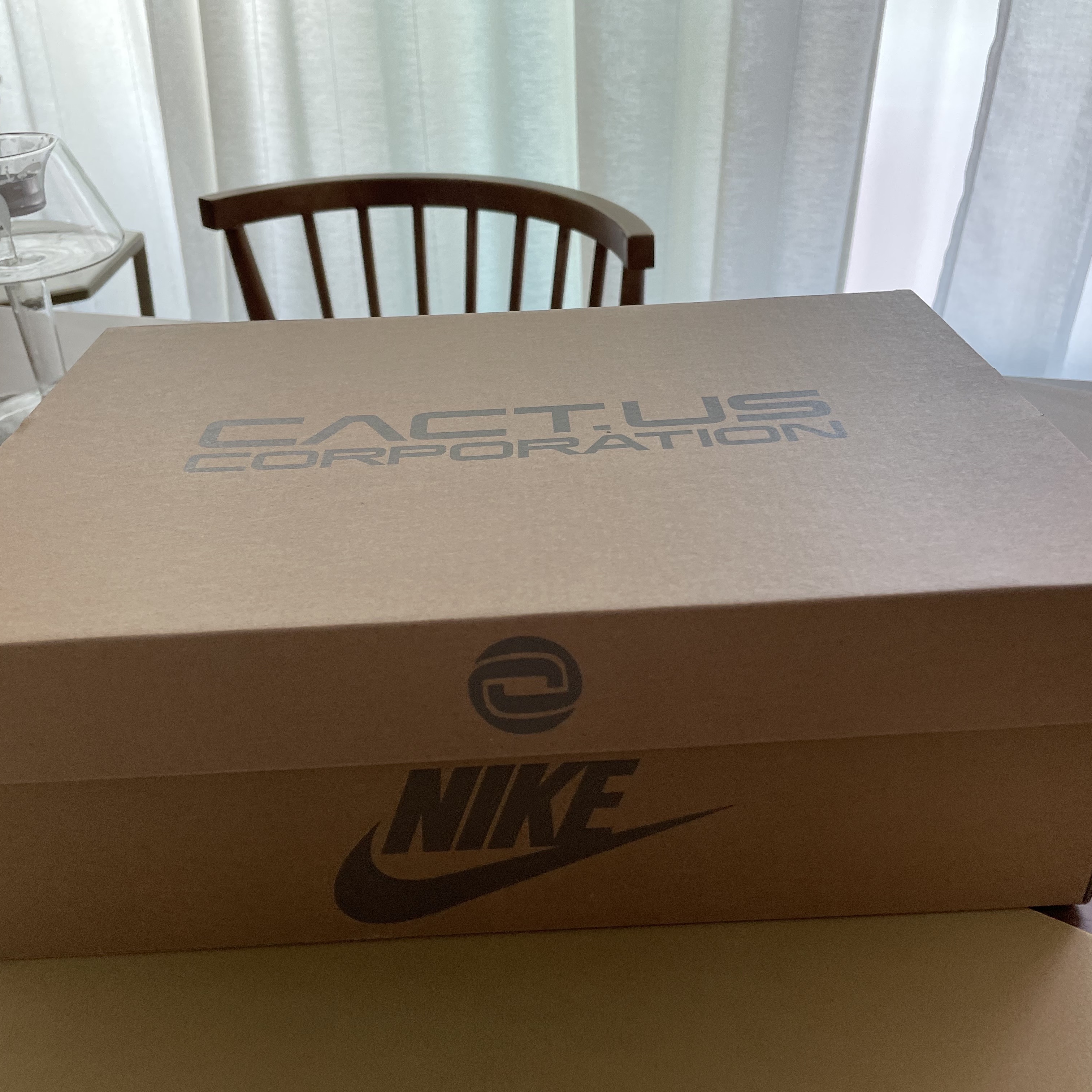Nike x Travis Scott Air Max 1 Cact.us Brown 착용 스타일 - 4