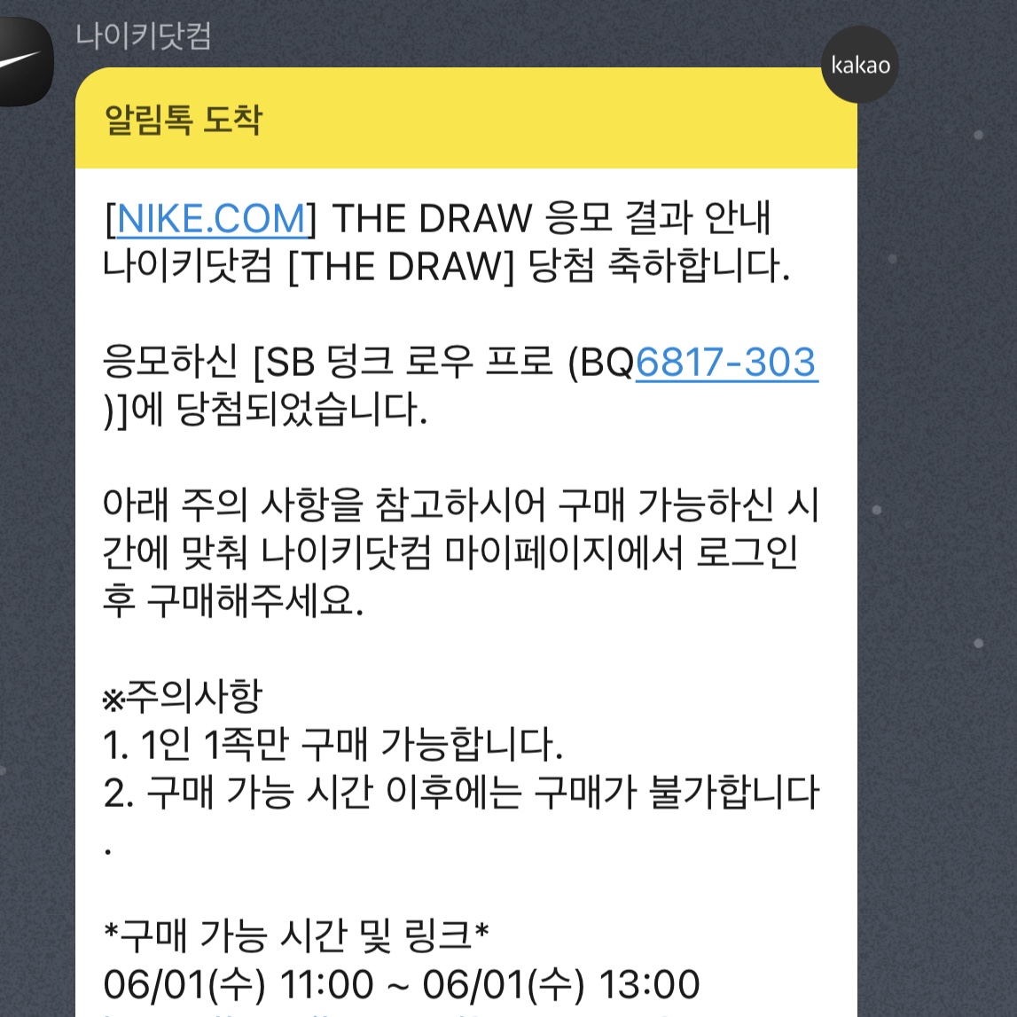 Nike SB Dunk Low Pro Shamrock 착용 스타일