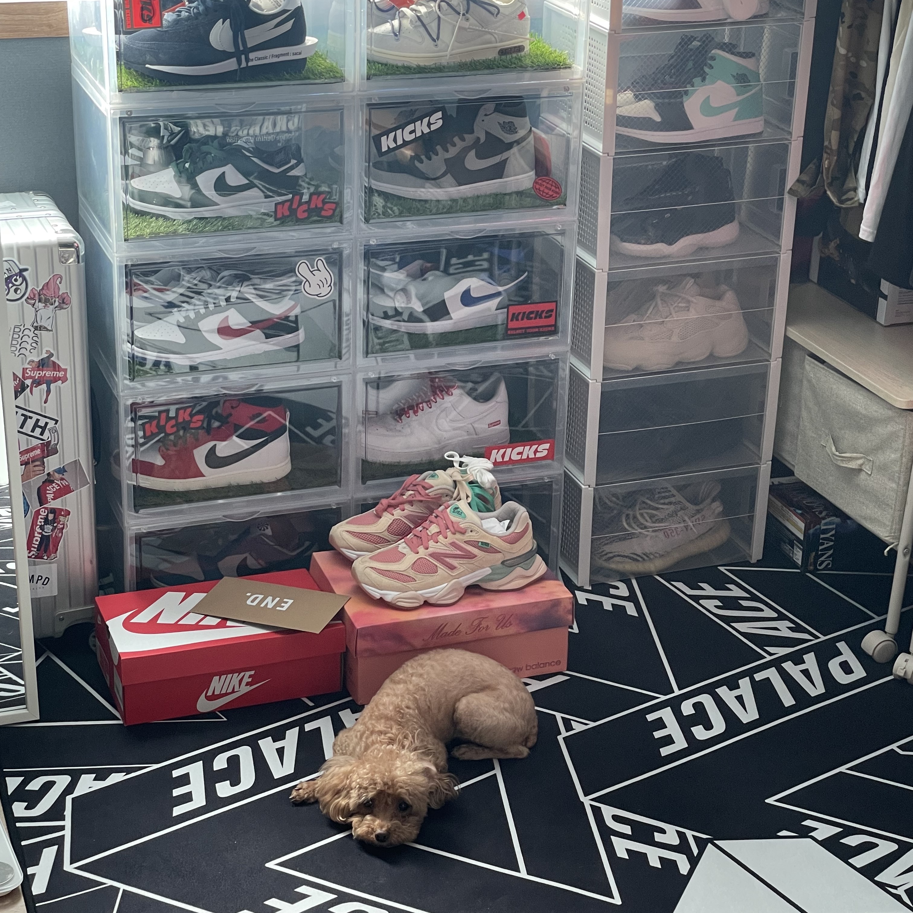 Nike x Off-White Dunk Low The 50 - Lot 18, New Balance x Joe Freshgoods 9060 Inside Voices Penny Cookie Pink 착용 스타일 - 1