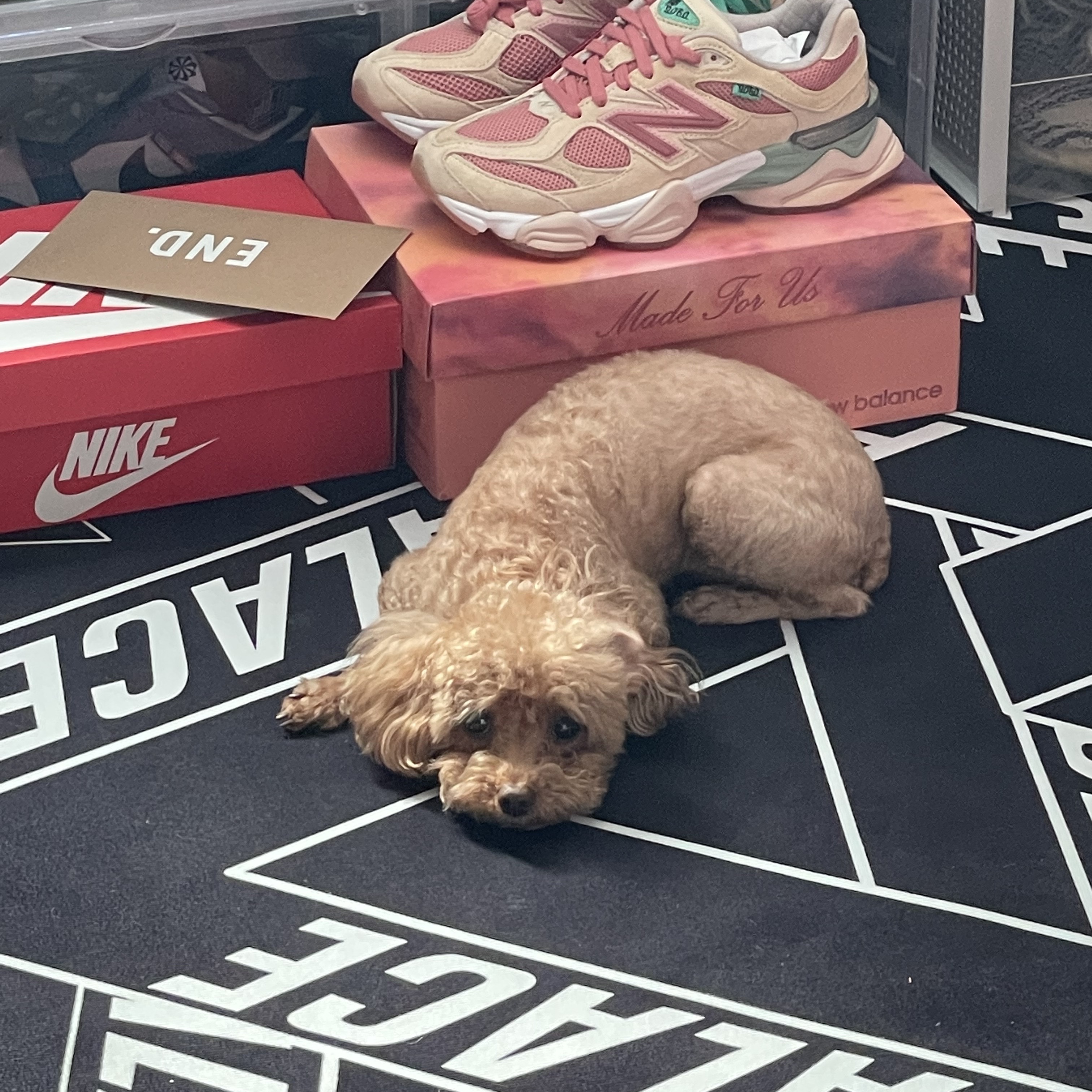 Nike x Off-White Dunk Low The 50 - Lot 18, New Balance x Joe Freshgoods 9060 Inside Voices Penny Cookie Pink 착용 스타일 - 2