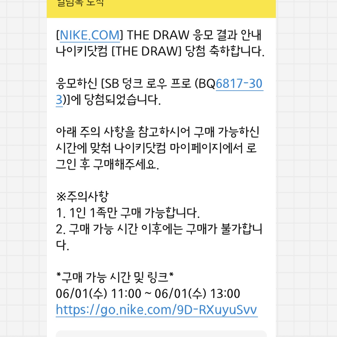 Nike SB Dunk Low Pro Shamrock 착용 스타일