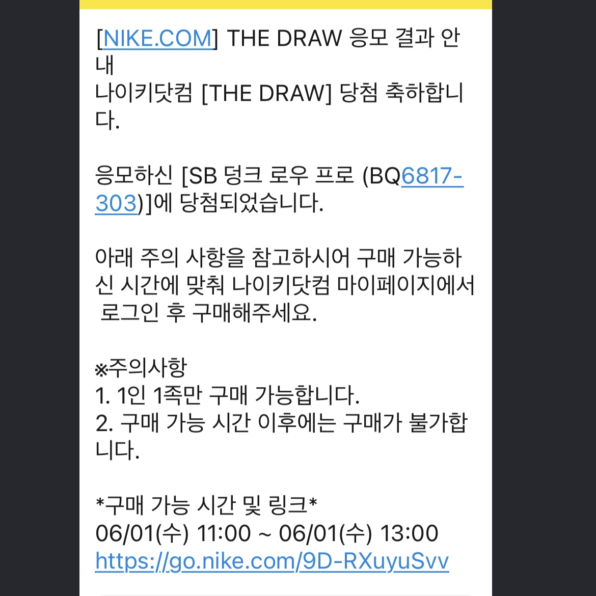 Nike SB Dunk Low Pro Shamrock 착용 스타일