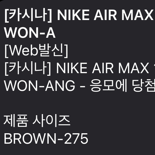 Nike x Kasina Air Max 1 SP Won-Ang Orange 착용 스타일