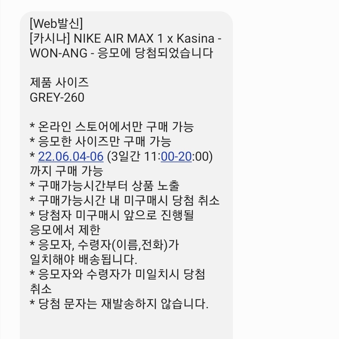 Nike x Kasina Air Max 1 SP Won-Ang Particle Grey 착용 스타일 - 1