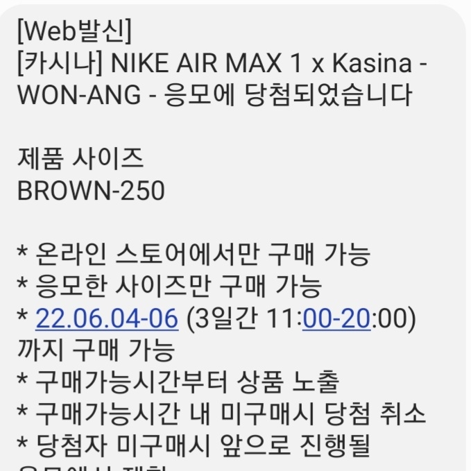 Nike x Kasina Air Max 1 SP Won-Ang Orange 착용 스타일