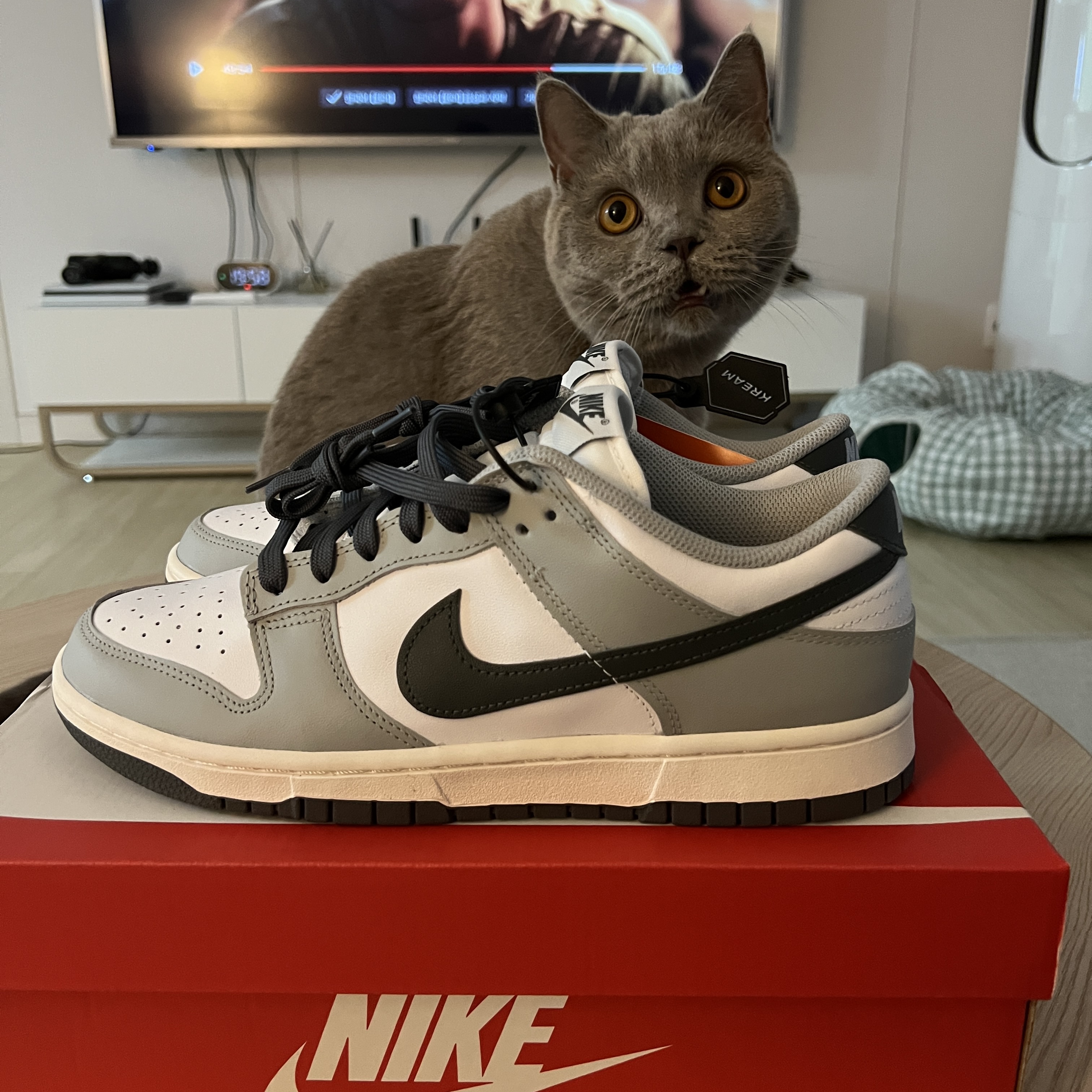 (W) Nike Dunk Low Light Smoke Grey 착용 스타일 - 4