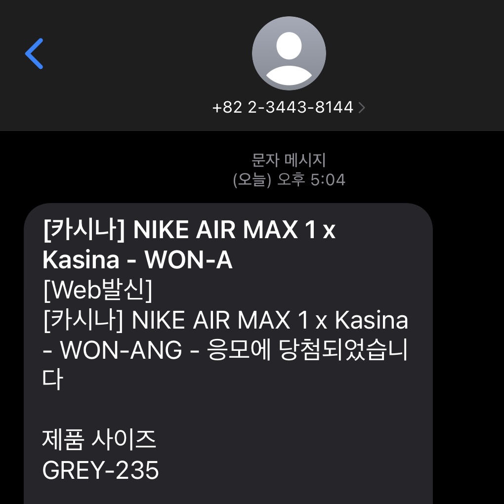 Nike x Kasina Air Max 1 SP Won-Ang Particle Grey 착용 스타일