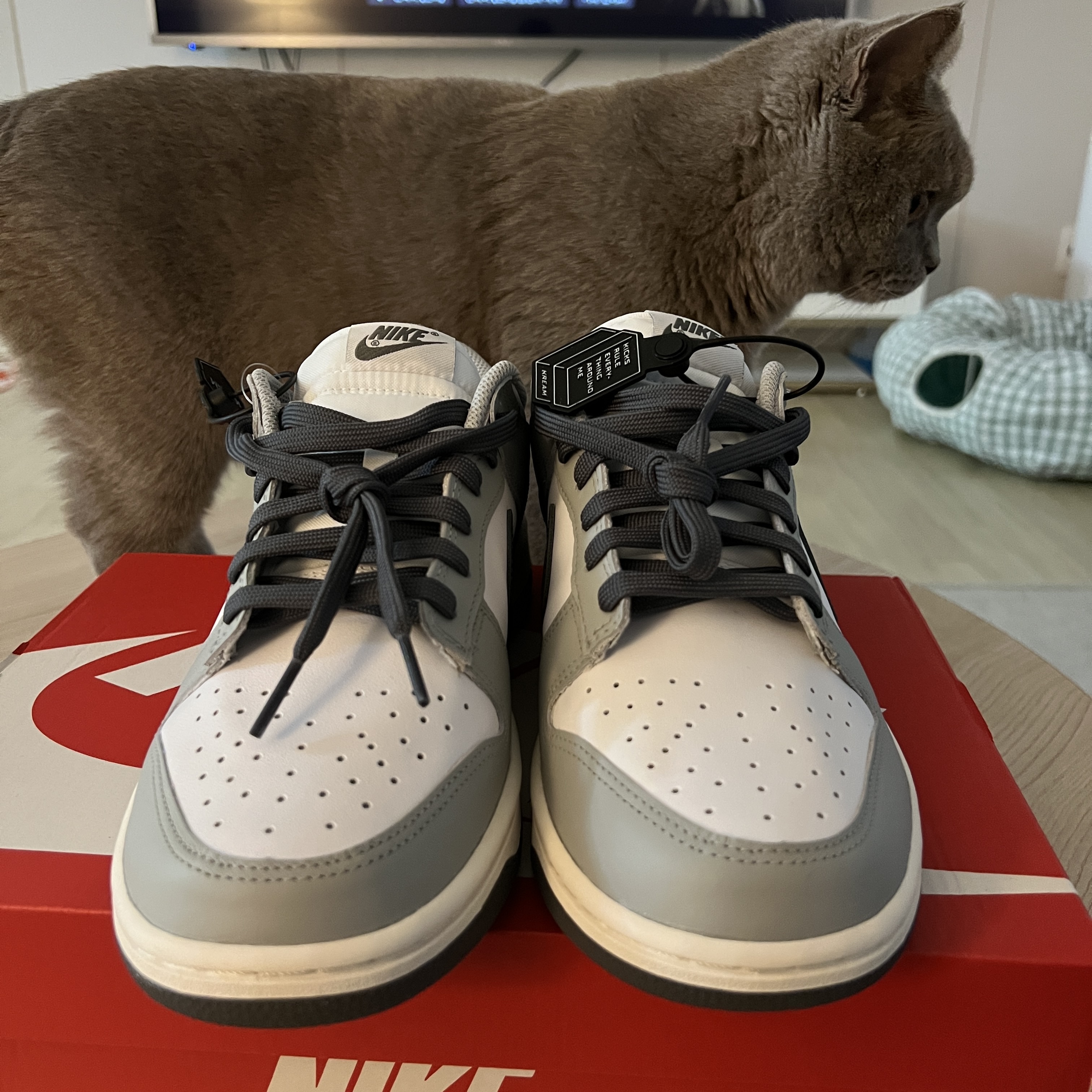 (W) Nike Dunk Low Light Smoke Grey 착용 스타일 - 3