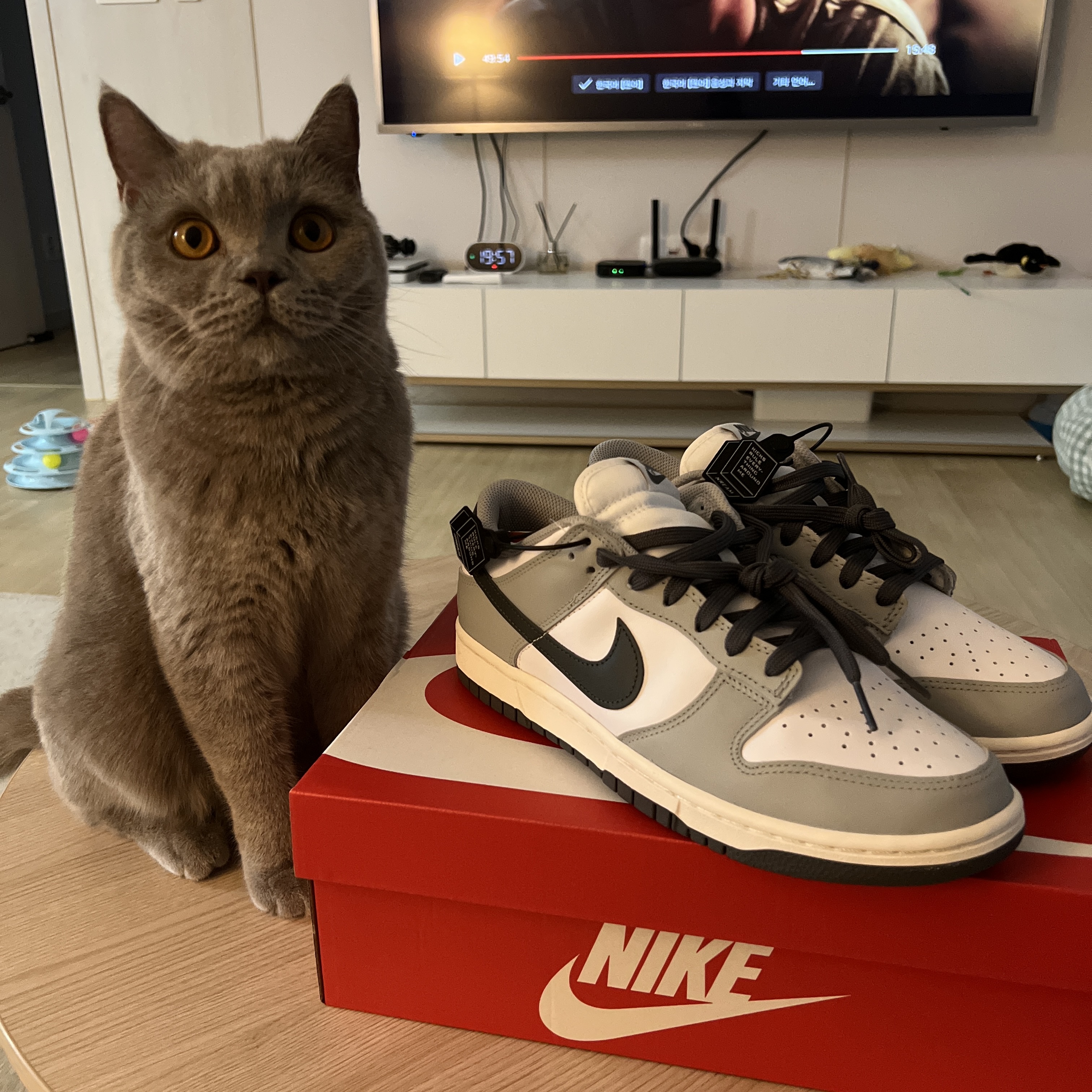(W) Nike Dunk Low Light Smoke Grey 착용 스타일 - 1