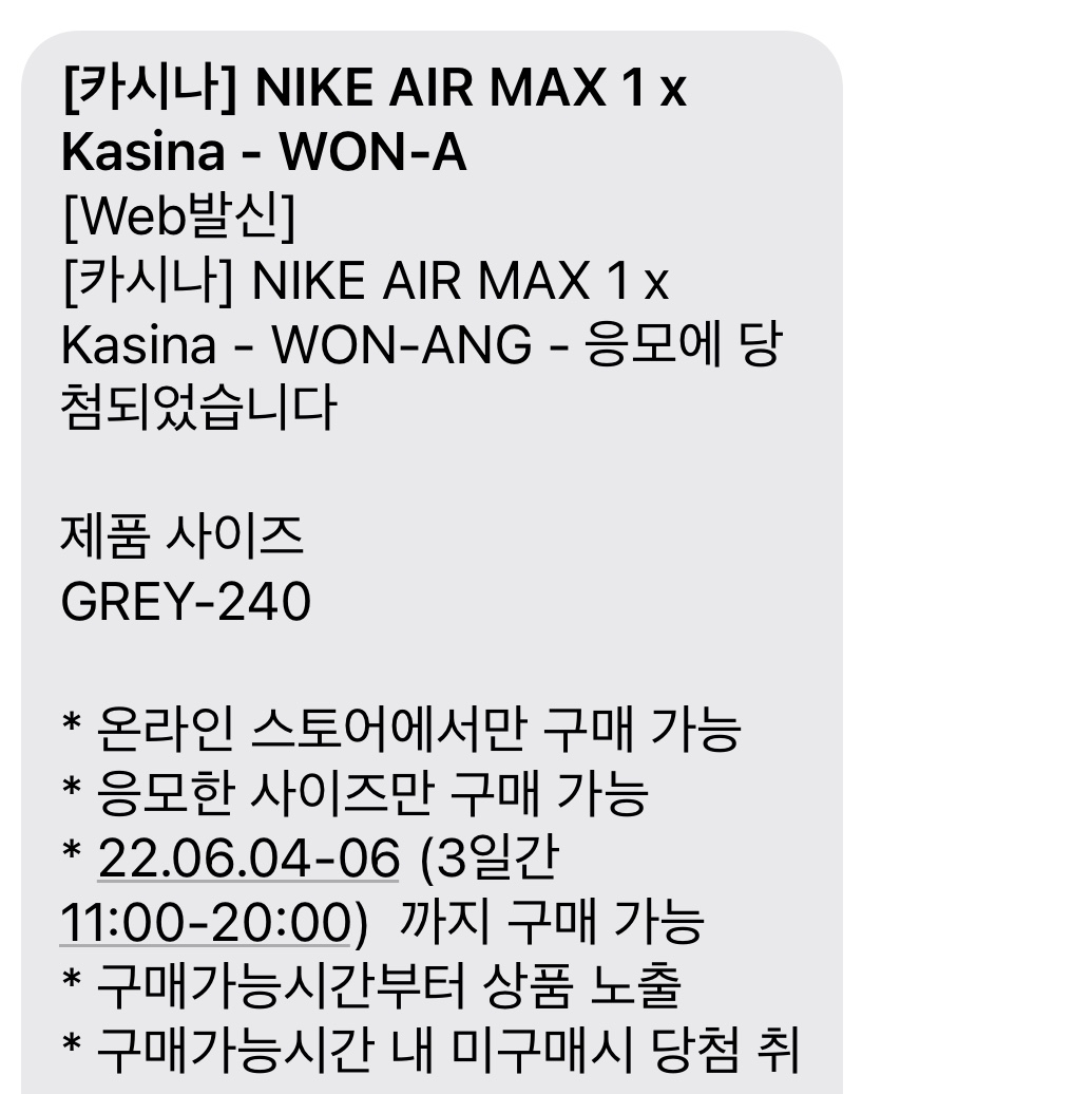 Nike x Kasina Air Max 1 SP Won-Ang Particle Grey 착용 스타일