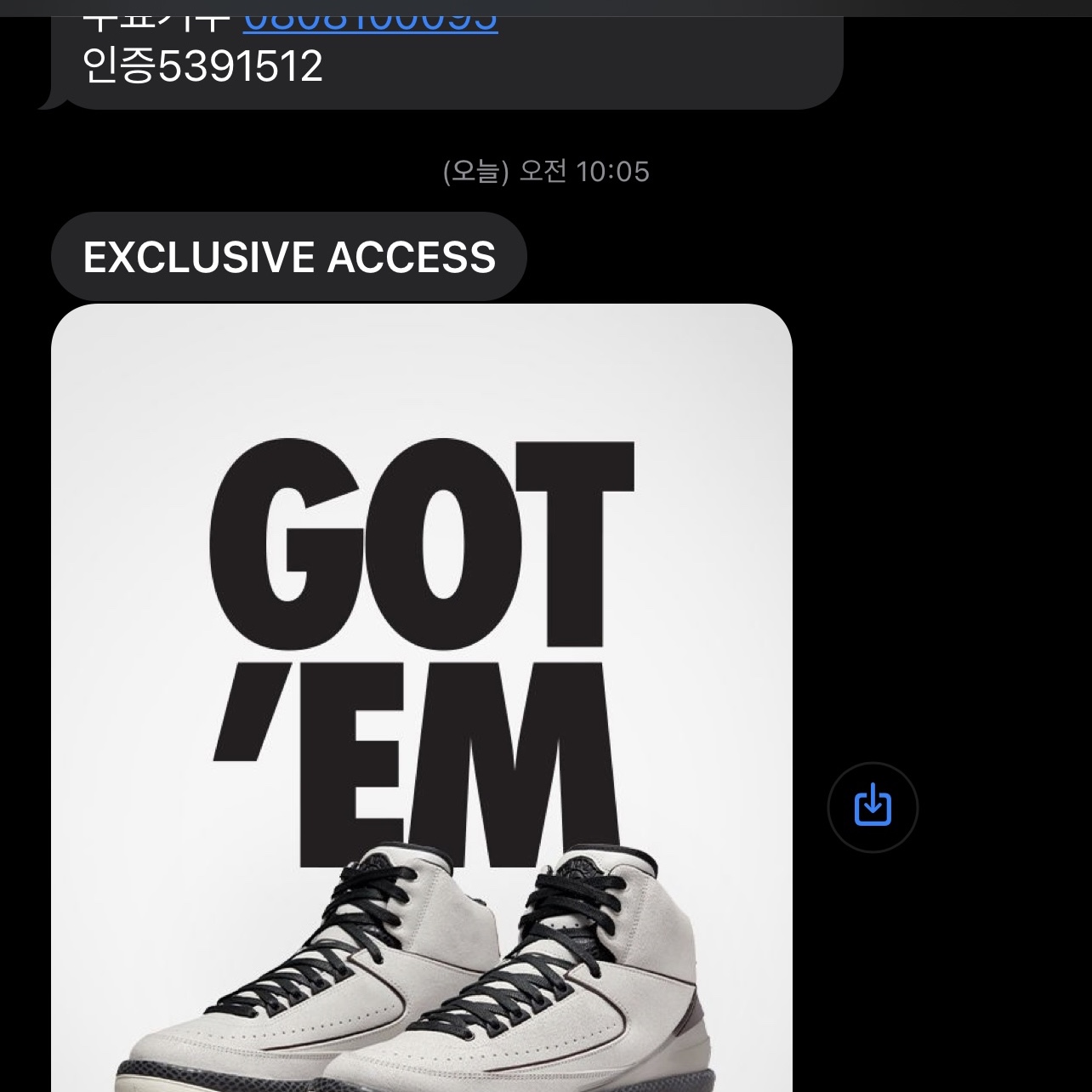 Jordan 2 x A Ma Maniere Retro SP Sail and Burgundy 착용 스타일