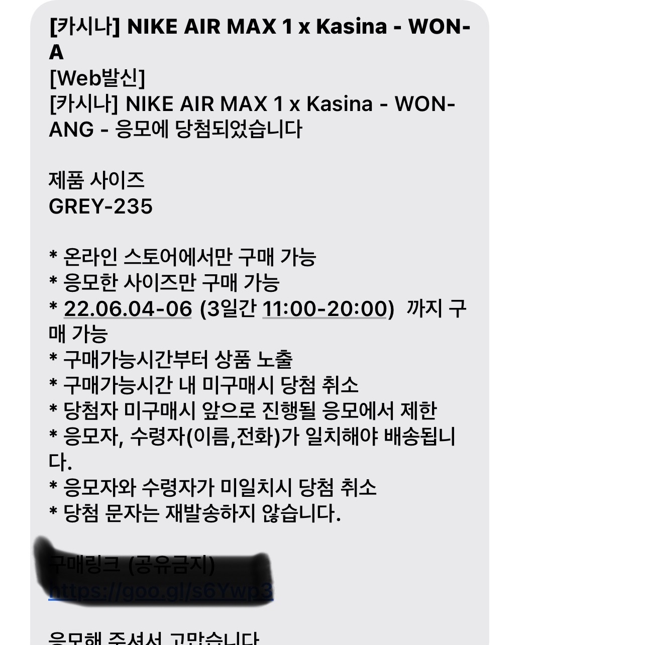 Nike x Kasina Air Max 1 SP Won-Ang Particle Grey 착용 스타일