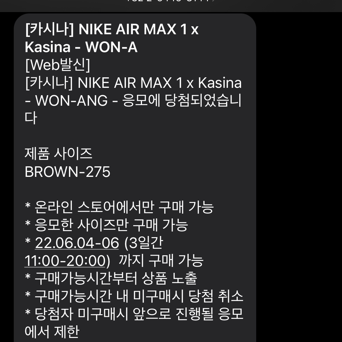 Nike x Kasina Air Max 1 SP Won-Ang Orange 착용 스타일 - 2