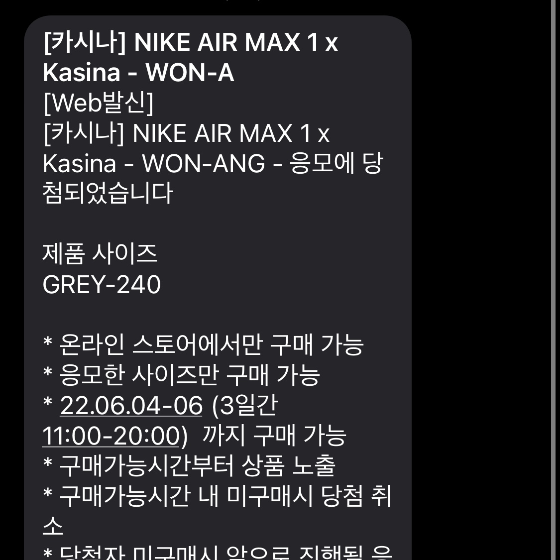 Nike x Kasina Air Max 1 SP Won-Ang Particle Grey 착용 스타일