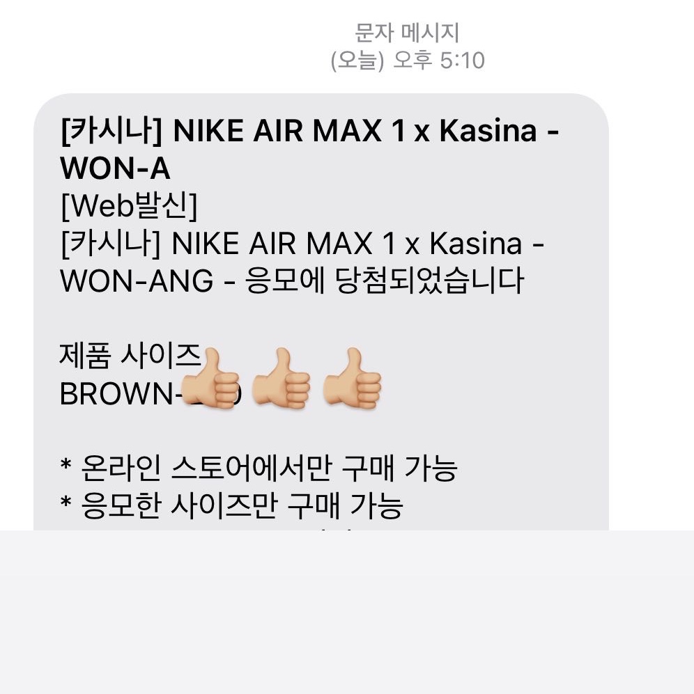 Nike x Kasina Air Max 1 SP Won-Ang Orange 착용 스타일