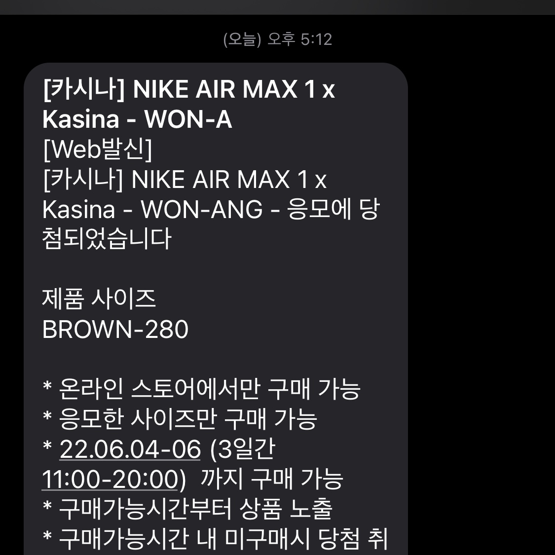 Nike x Kasina Air Max 1 SP Won-Ang Orange 착용 스타일