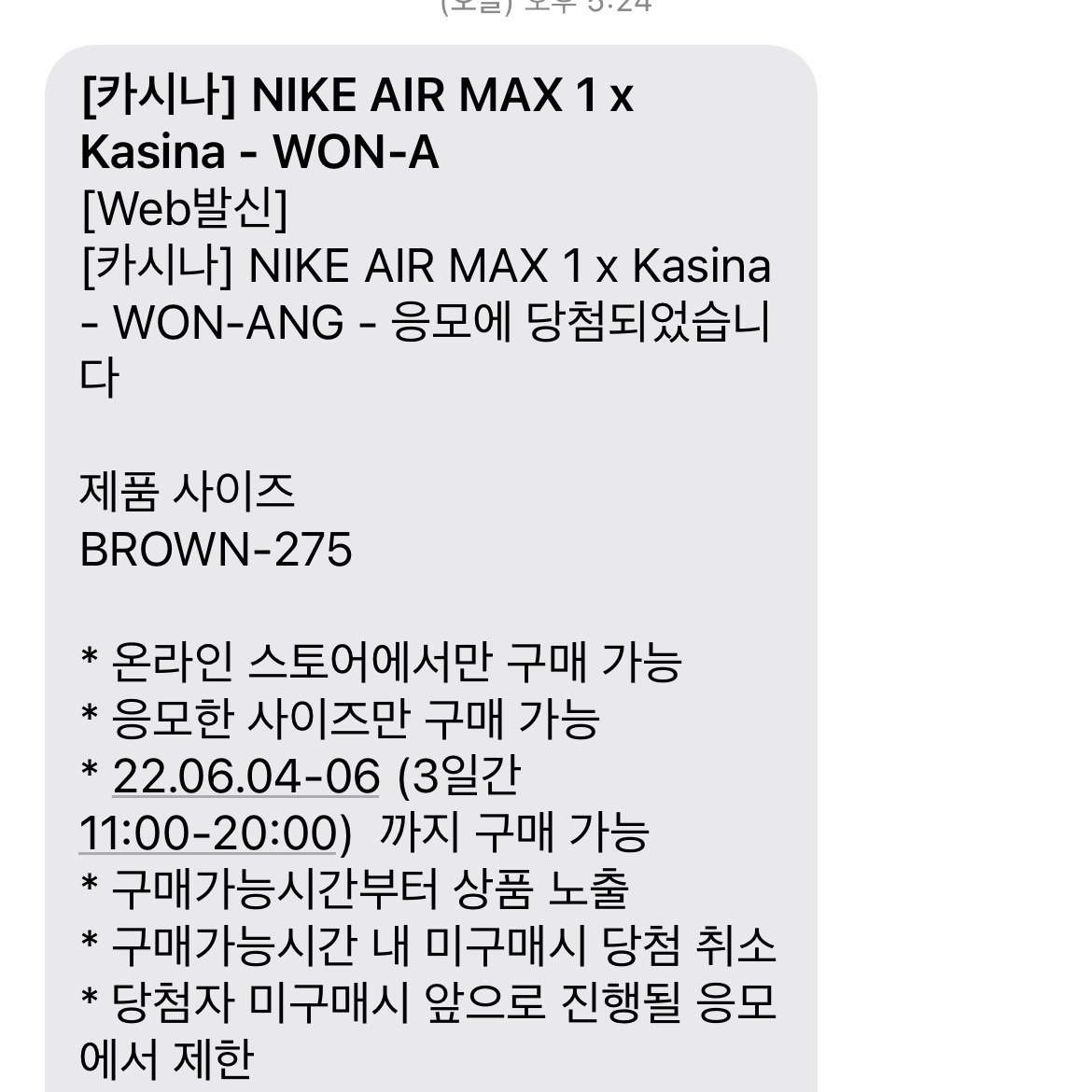Nike x Kasina Air Max 1 SP Won-Ang Orange 착용 스타일
