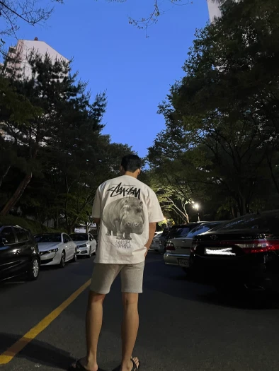 스타일 카드