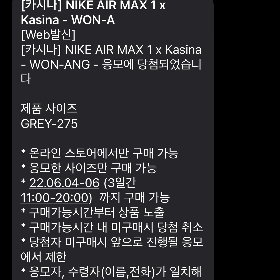 Nike x Kasina Air Max 1 SP Won-Ang Particle Grey 착용 스타일