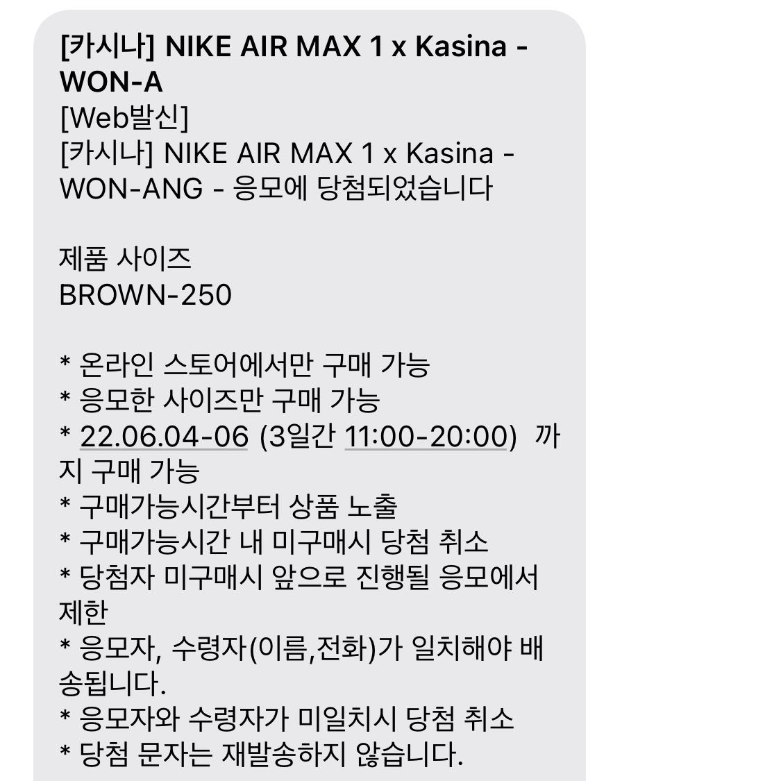 Nike x Kasina Air Max 1 SP Won-Ang Orange 착용 스타일
