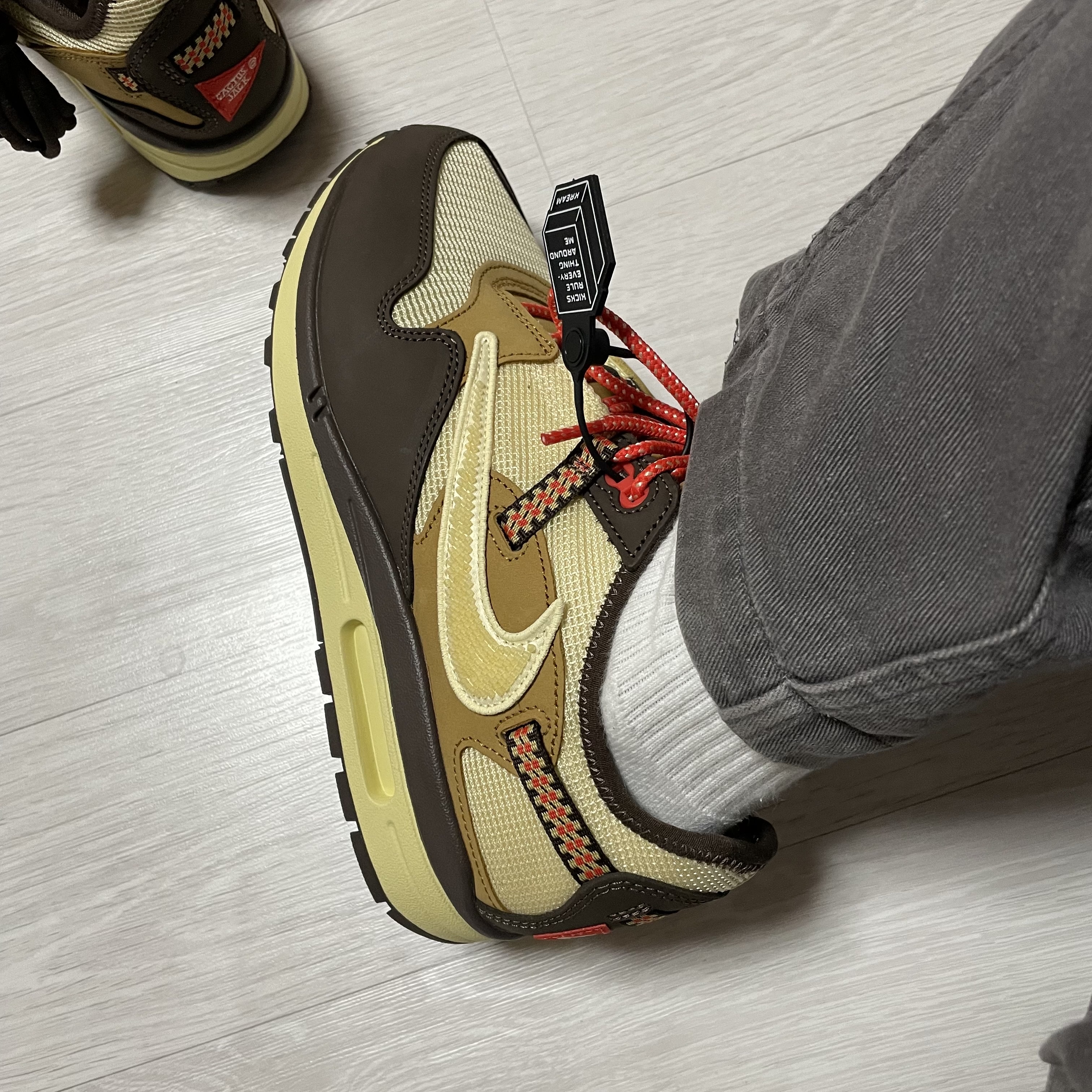 Nike x Travis Scott Air Max 1 Cact.us Brown 착용 스타일