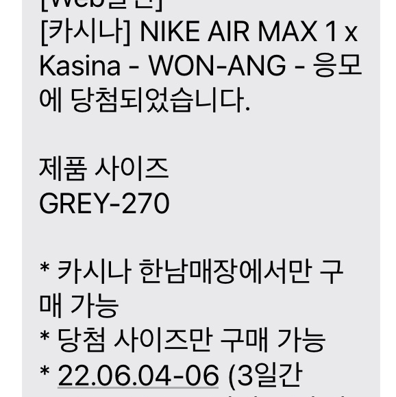 Nike x Kasina Air Max 1 SP Won-Ang Particle Grey 착용 스타일 - 4