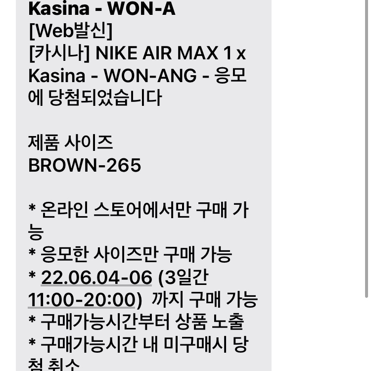Nike x Kasina Air Max 1 SP Won-Ang Orange 착용 스타일
