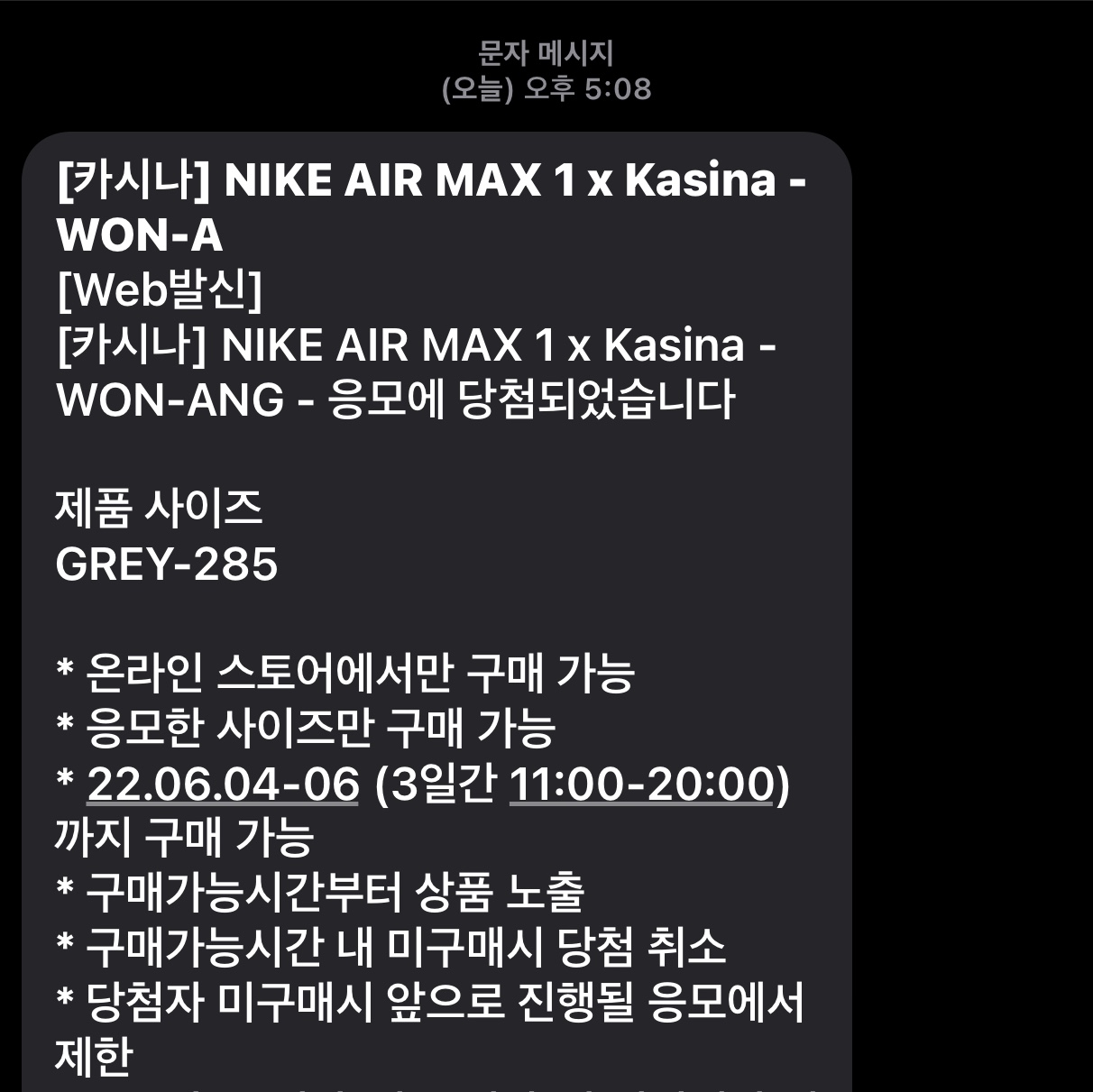 Nike x Kasina Air Max 1 SP Won-Ang Particle Grey 착용 스타일