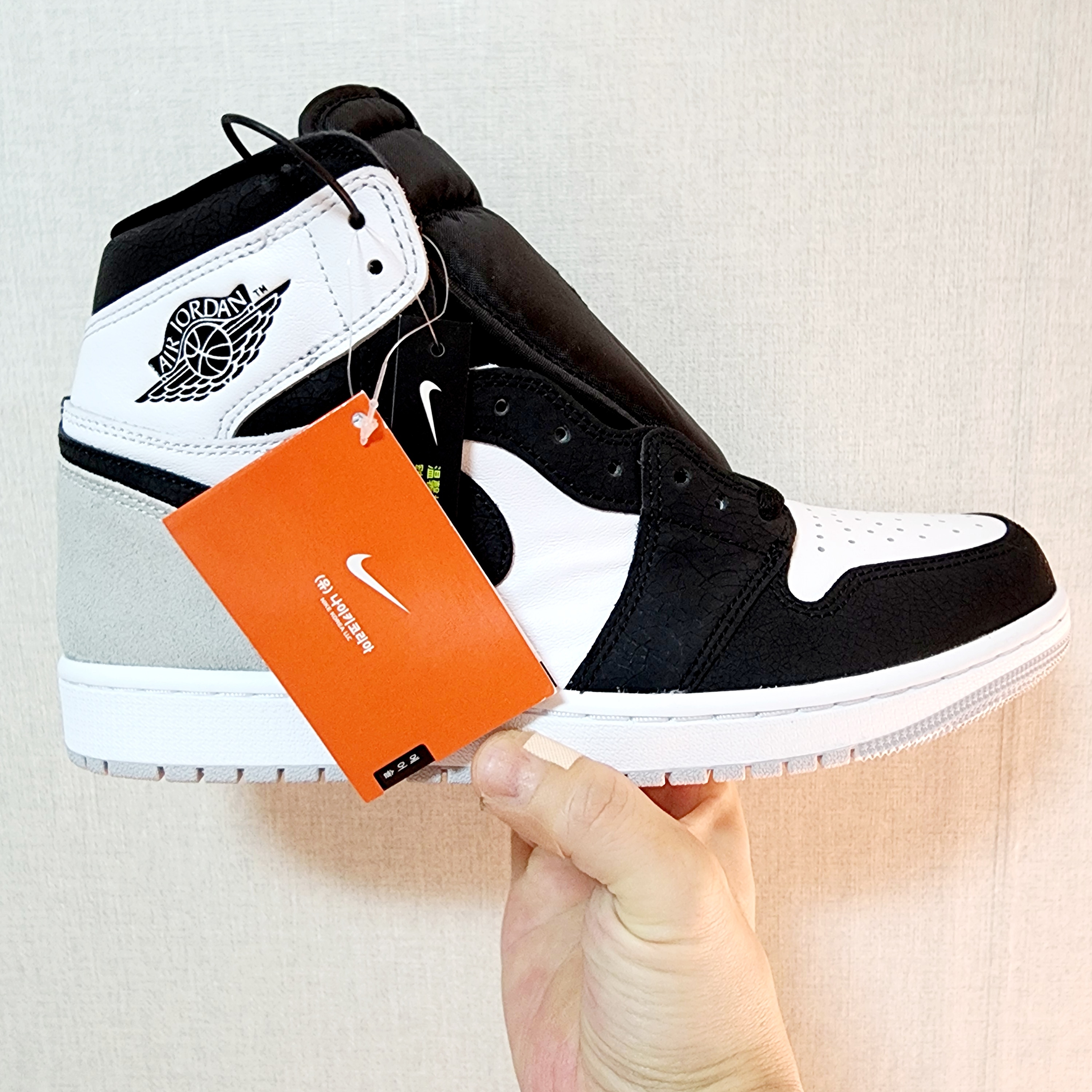 Jordan 1 Retro High OG Bleached Coral 착용 스타일 - 2