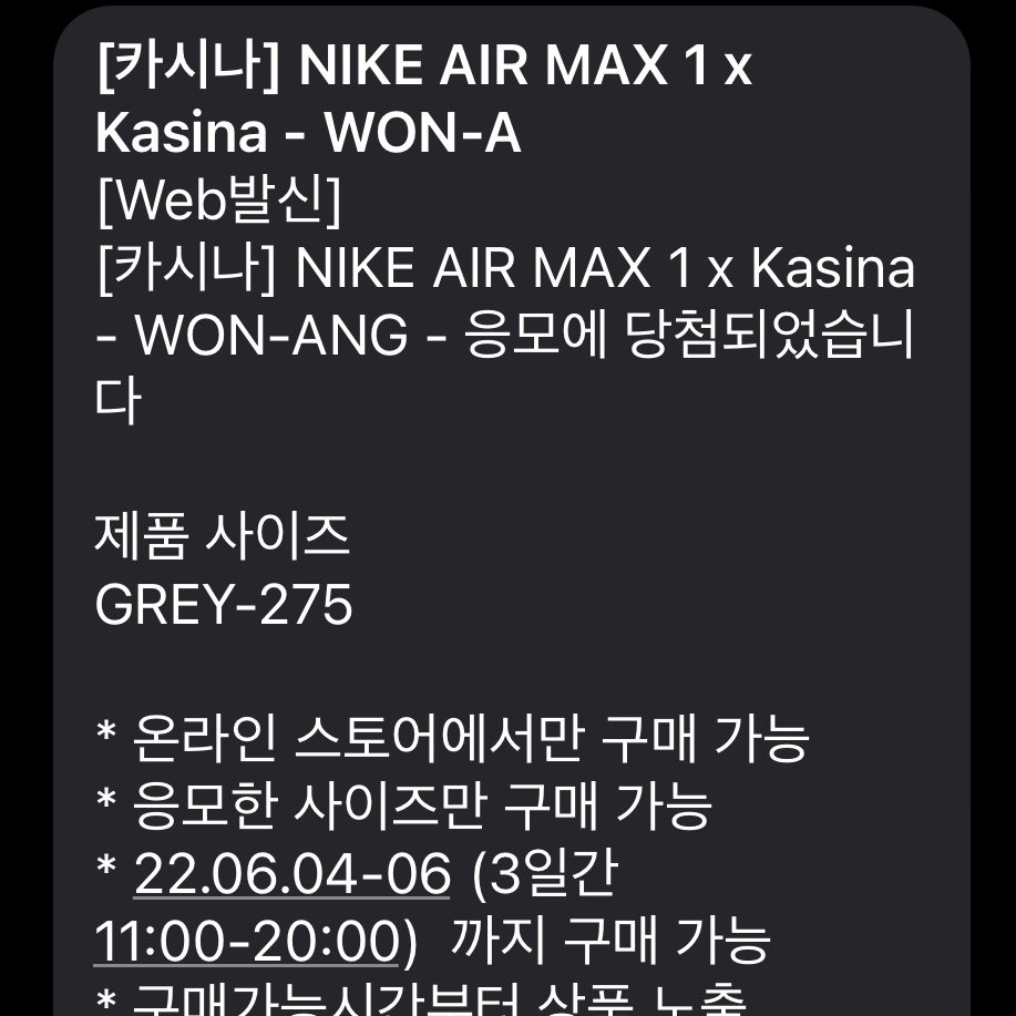 Nike x Kasina Air Max 1 SP Won-Ang Particle Grey 착용 스타일