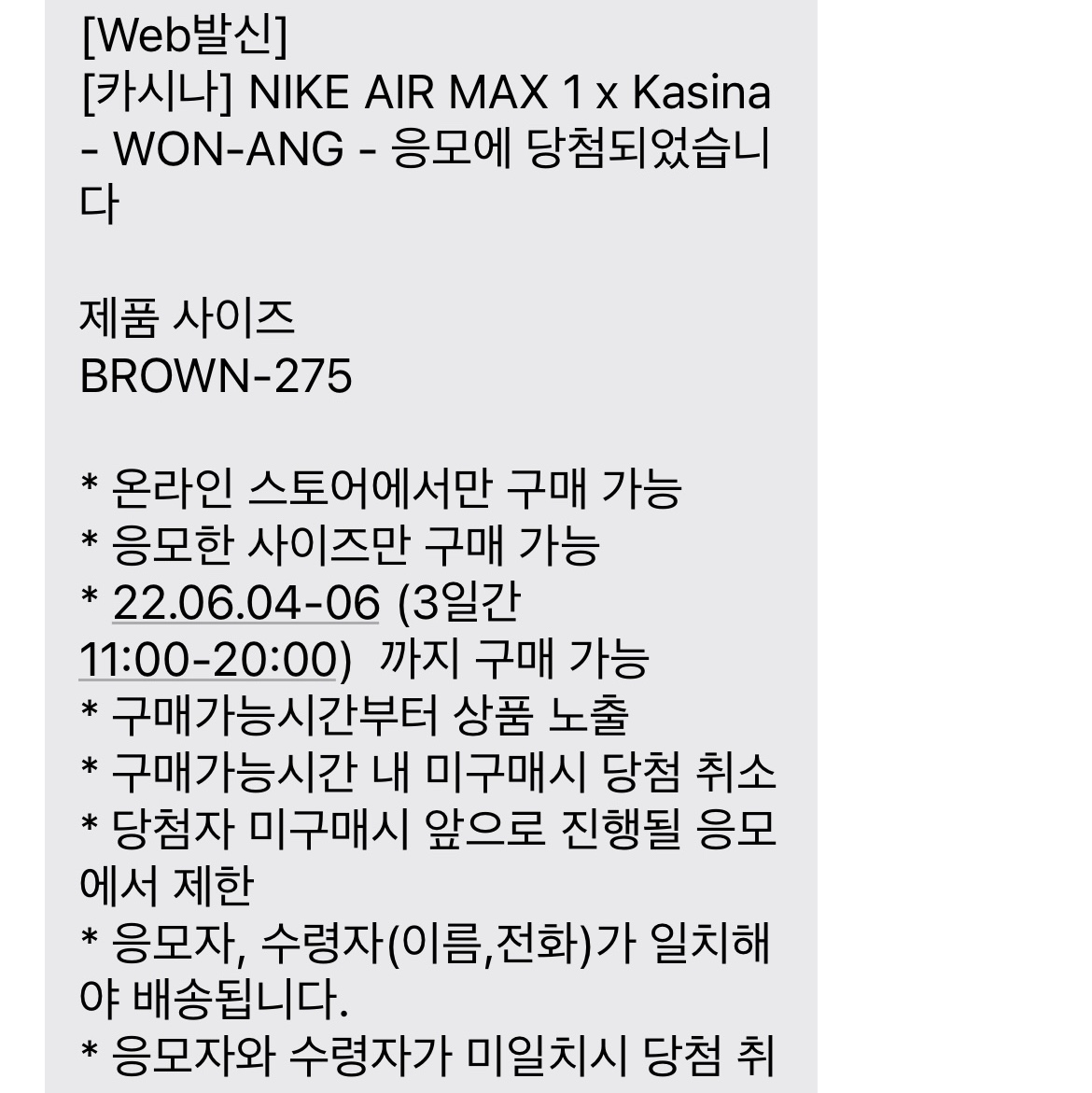 Nike x Kasina Air Max 1 SP Won-Ang Orange 착용 스타일