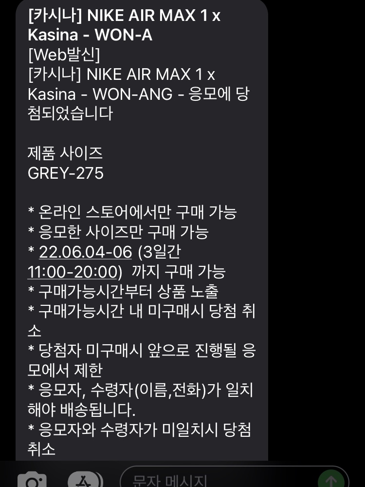 Nike x Kasina Air Max 1 SP Won-Ang Particle Grey 착용 스타일