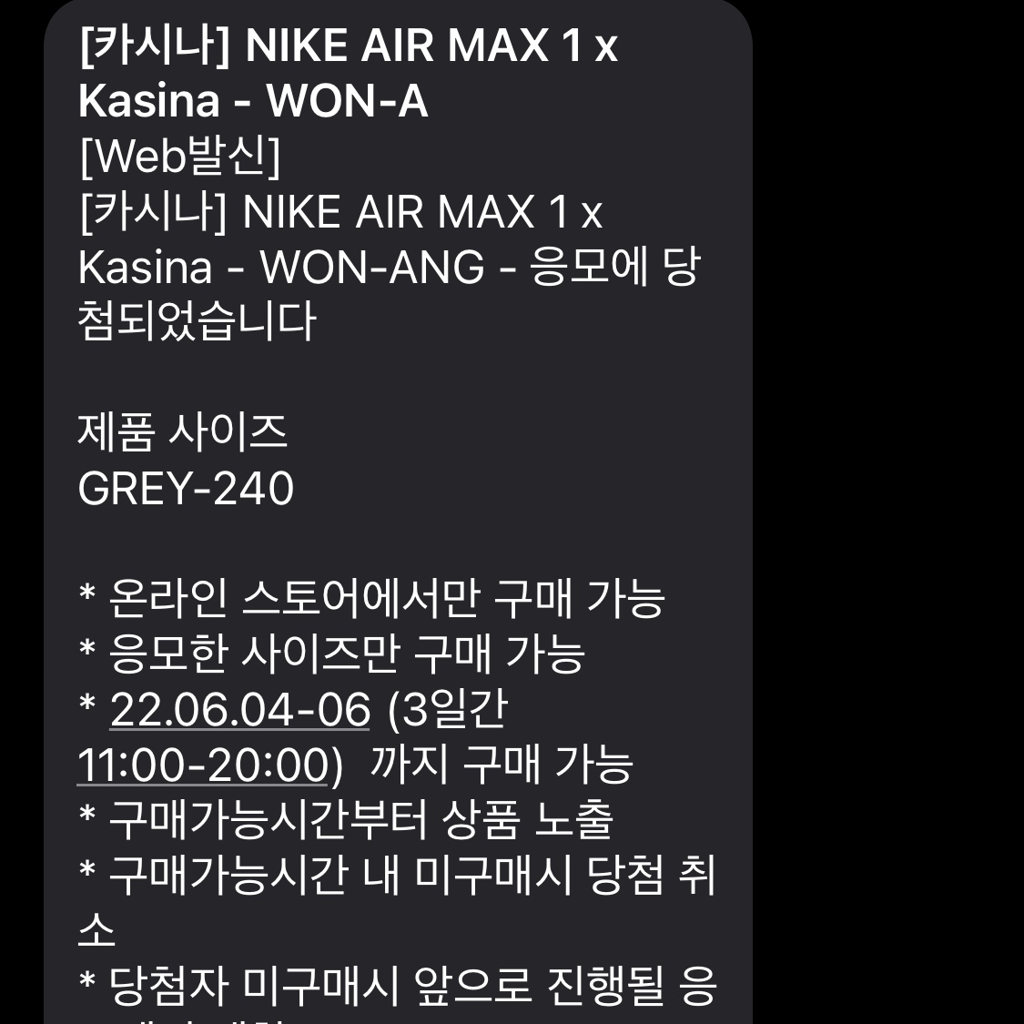 Nike x Kasina Air Max 1 SP Won-Ang Particle Grey 착용 스타일