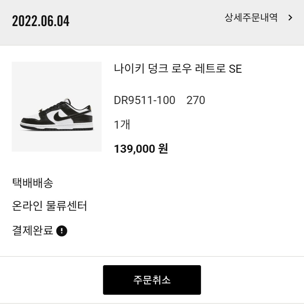 Nike Dunk Low Retro Black 착용 스타일 - 1