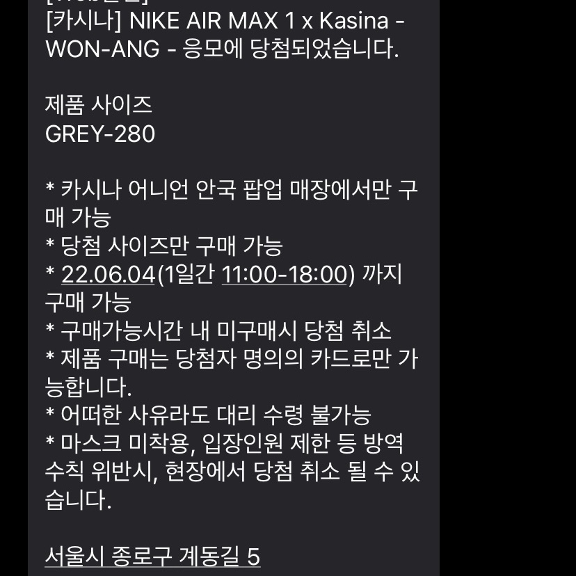 Nike x Kasina Air Max 1 SP Won-Ang Particle Grey 착용 스타일