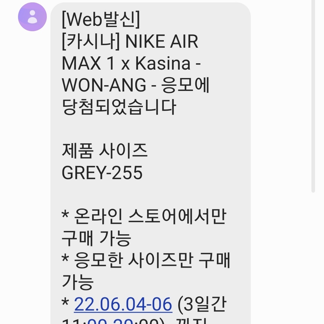 Nike x Kasina Air Max 1 SP Won-Ang Particle Grey 착용 스타일
