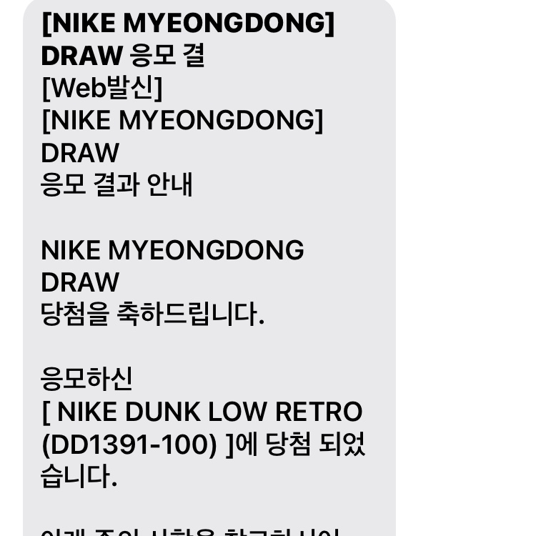 Nike Dunk Low Retro Black 착용 스타일
