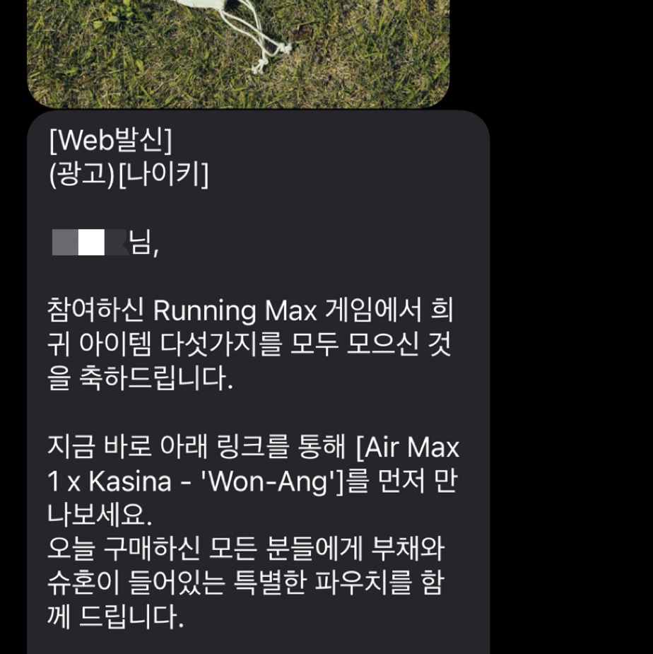 Nike x Kasina Air Max 1 SP Won-Ang Particle Grey 착용 스타일