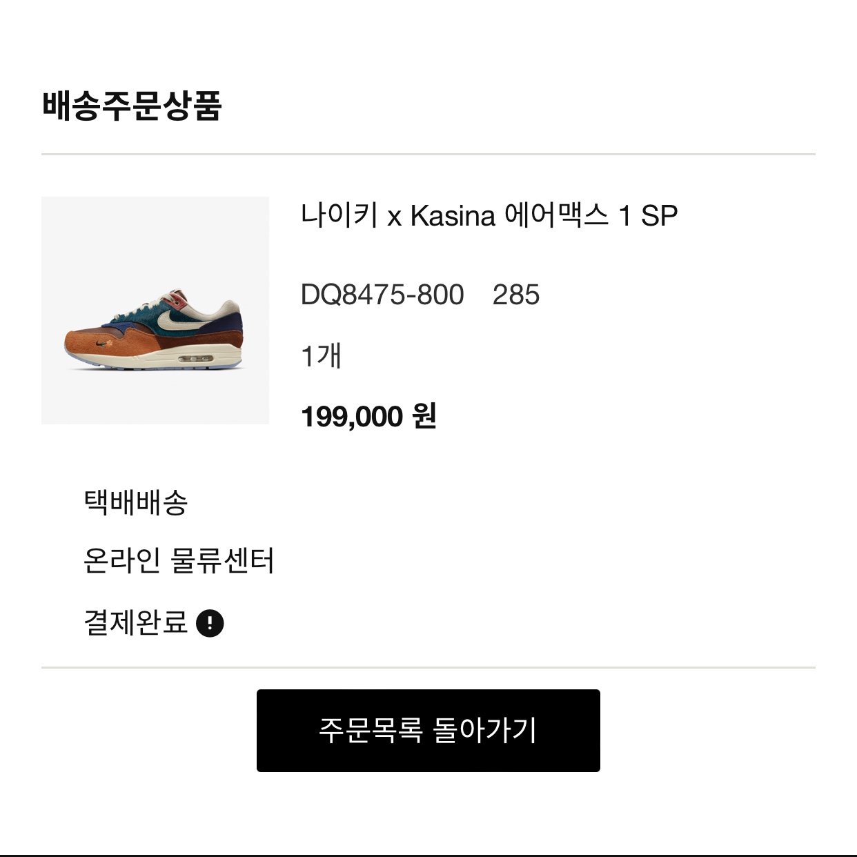 Nike x Kasina Air Max 1 SP Won-Ang Orange 착용 스타일