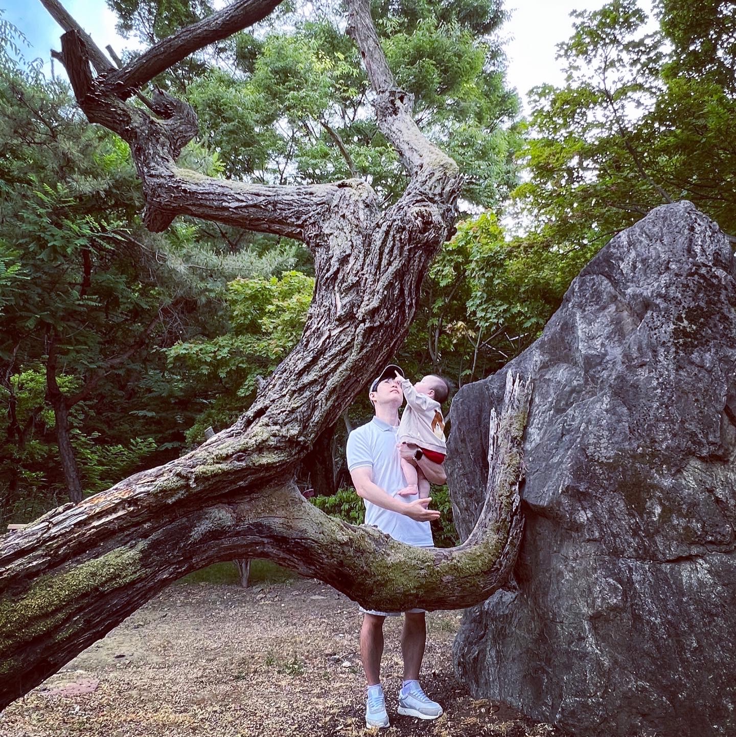 sonhaewook님의 스타일 - 5