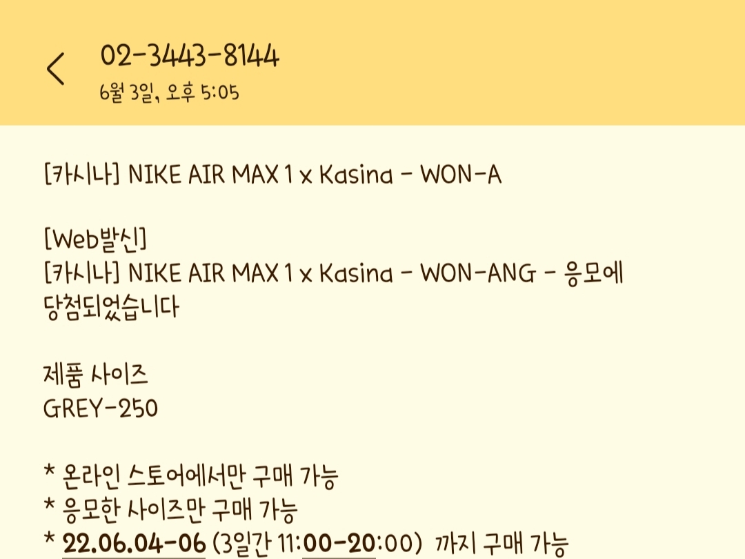 (GS) Jordan 1 Low SE Ashen Slate and Mystic Navy, Nike x Kasina Air Max 1 SP Won-Ang Particle Grey 착용 스타일 - 2