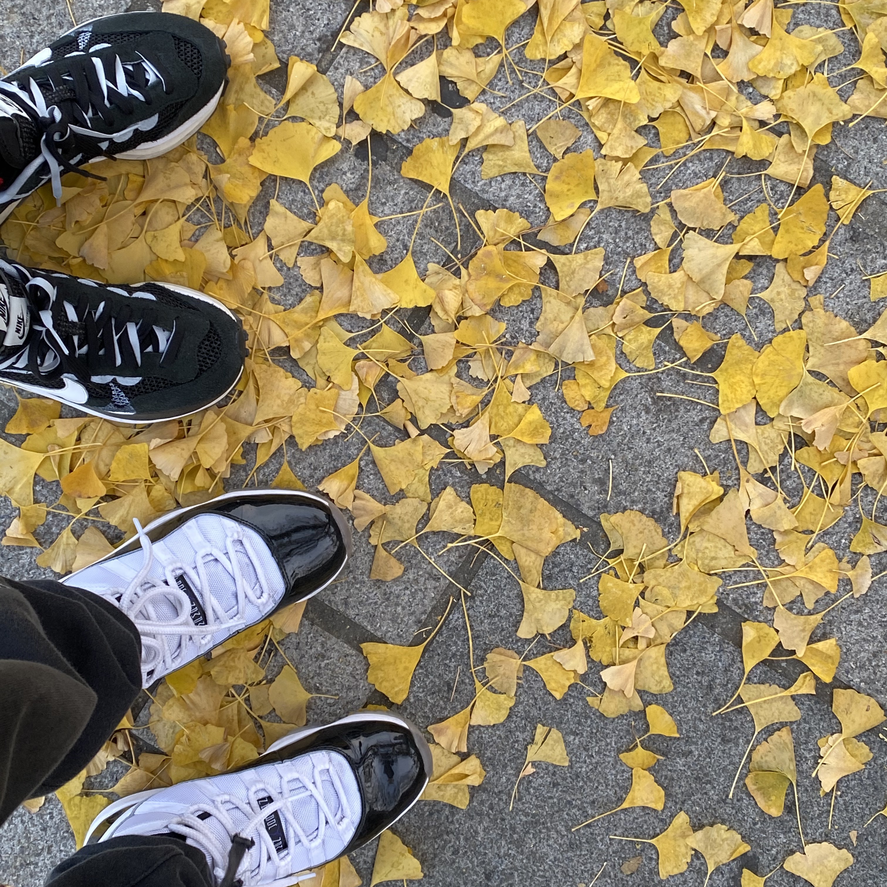 Nike x Sacai VaporWaffle Black White, Jordan 11 Retro Concord 2018 착용 스타일