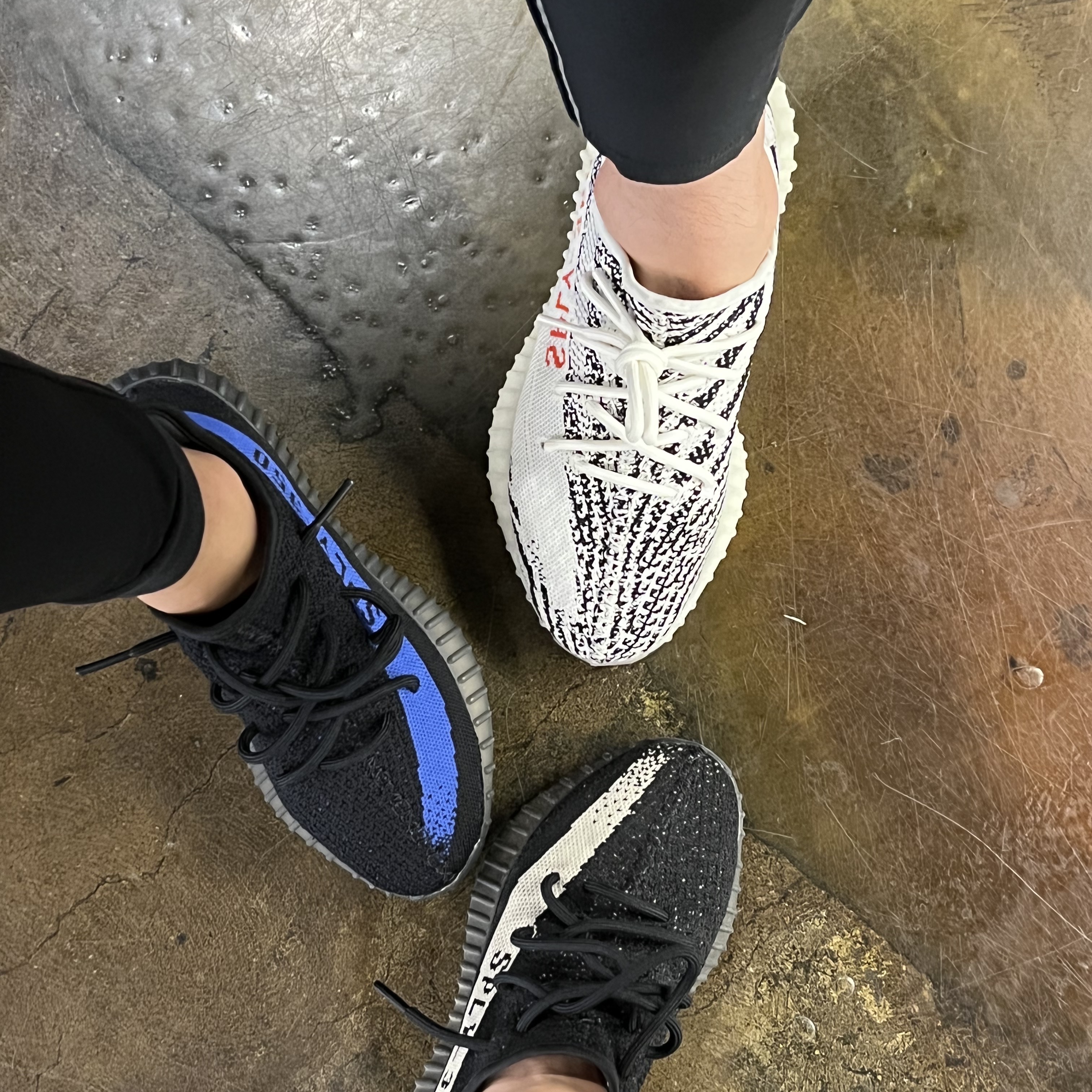 Adidas Yeezy Boost 350 V2 Dazzling Blue, Adidas Yeezy Boost 350 V2 Zebra 2022/2023 착용 스타일